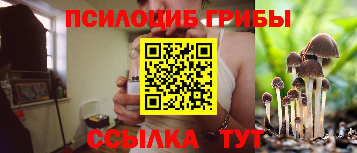 Белгород  Псилоцибиновые грибы ЛСД  Вход с VPN  Галлюциногенные грибы Magic Shrooms 
